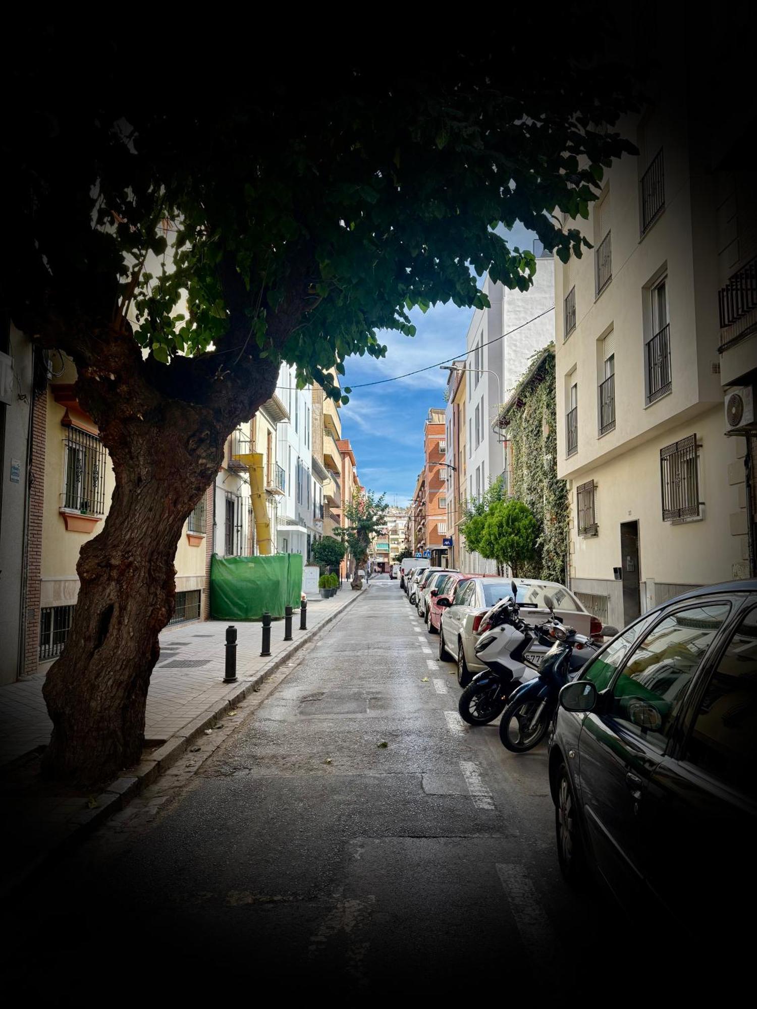 Centrico Apartamento Con Parking Granada Eksteriør billede